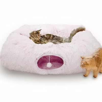 Best deals for everyday items at special prices daily